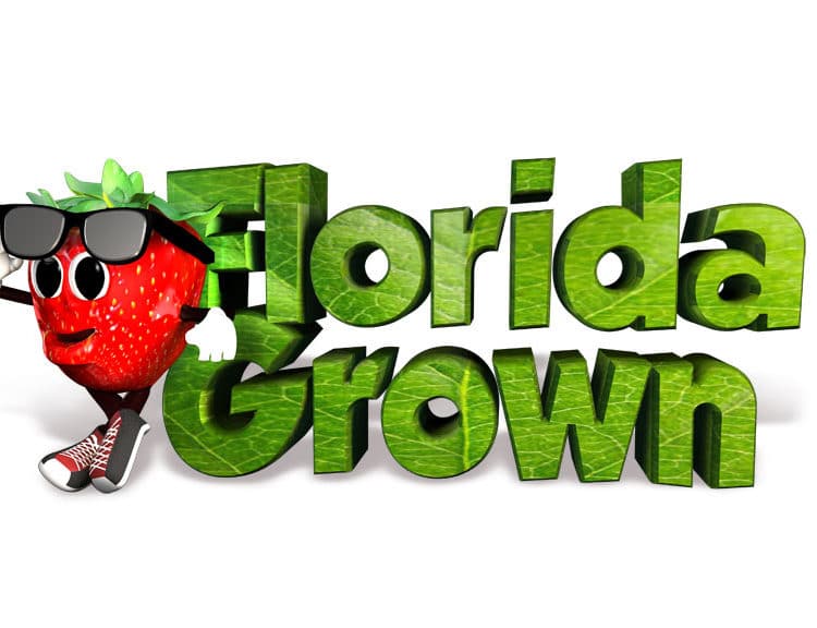 Florida Strawberry Growers Association